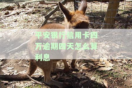 平安银行逾期四天还可以最低还款吗？逾期5天、4天及1天还款对信用有何影响？