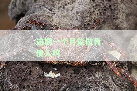 逾期一个月能做背债人吗有影响吗，逾期一个月可以做背债人吗？这会对您产生什么影响？