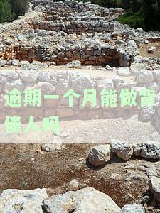 逾期1个月是否还能贷款？影响严重吗？是否会坐牢？