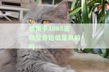 106开头的信用卡短信：真实性、来源及诈骗风险解析