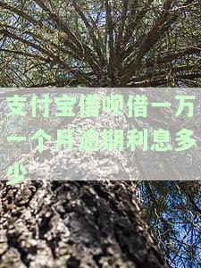 支付宝借呗借一万一个月逾期利息是多少？详细解析与解决办法