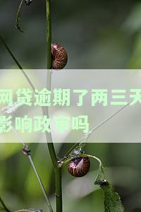 网贷逾期三天会影响买房吗，网贷逾期三天是否影响购房？你需要了解的事