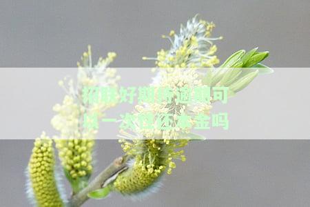 招联好期待逾期可以一次性还本金吗安全吗，一次性还清招联好期待逾期本金：安全吗？