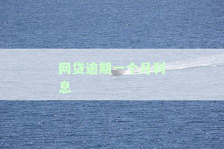网贷逾期一个月利息
