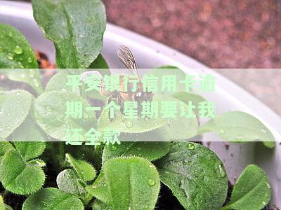 平安银行信用卡逾期一个星期要让我还全款