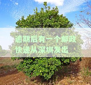 逾期后有一个邮政快递从深圳发出怎么办？逾期邮政寄快递、逾期收到邮政快递、网贷逾期从深圳寄出的快递，该如何处理？