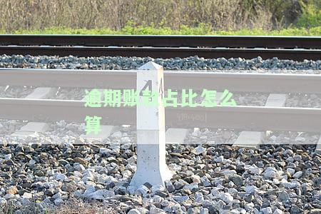 逾期账款率多少合适，如何确定合适的逾期账款率？