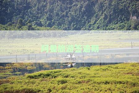 阿曼落地签过期最新规定2020：申请所需材料及流程解析