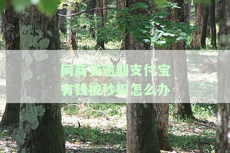 支付宝网商贷逾期不还会有什么后果看完这些后，警惕！支付宝网商贷逾期的严重后果，一定要看！