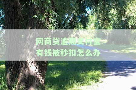 网商贷逾期充值到支付宝未扣款，原因解析及解决方法