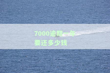 7000元逾期一年利息，警惕高利贷！7000元逾期一年利息你将面临多少负担？
