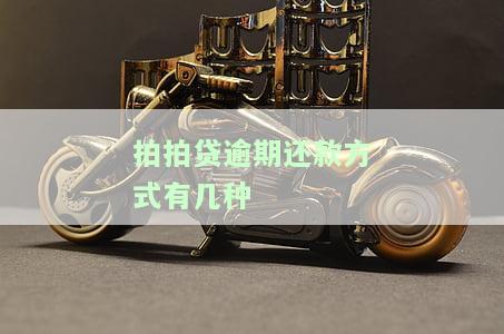 拍拍贷逾期严重,现在想处理还本金怎么操作，急需解决！拍拍贷逾期严重，如何处理并偿还本金？