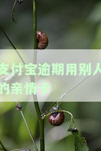 支付宝逾期，能否使用别人的亲情卡？安全吗？如果自己的支付宝逾期了，可以用亲人的支付宝吗？会扣亲属卡或亲情号的钱吗？