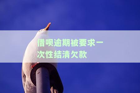 借呗逾期被要求一次性结清欠款合法吗？包括未逾期部分