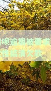 借呗逾期了让我一次性还清，急需解决！借呗逾期，要求一次性还清