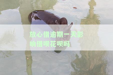 放心借逾期两天，别担心，放心借逾期两天也能解决！