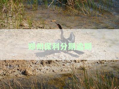保利管州售后电话号码，查找保利管州售后联系方式？一文带你了解官方电话号码！