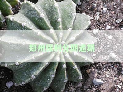 州保利客服电话：售后服务、投诉及地产信息全包括