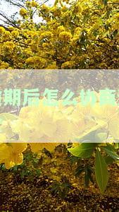 逾期后怎么协商还款-逾期后怎么协商还款怎么收费