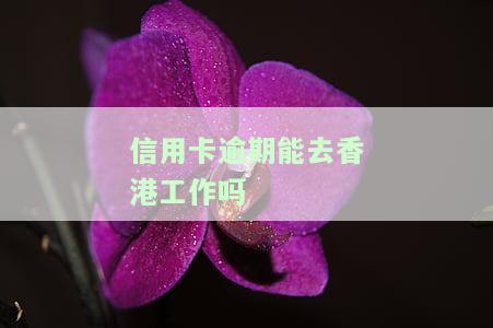 有信用卡逾期的人可以出国吗？信用逾期会影响出国及海外工作吗？