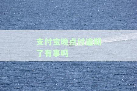 支付宝晚点付逾期会怎么样，晚点付逾期：支付宝将采取哪些措？