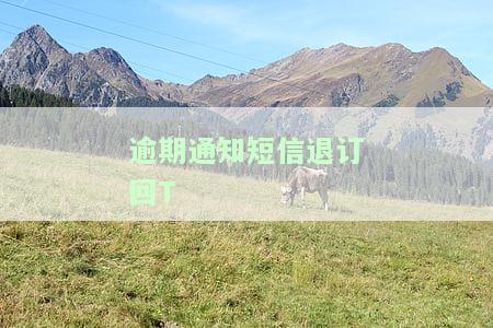 收到短信说欠款逾期，退订：真骗局还是误会？