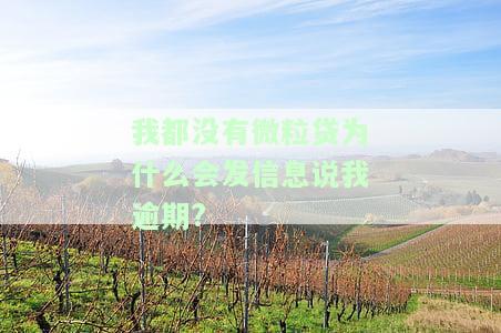 我都没有微粒贷为什么会发信息说我逾期?-我都没有微粒贷为什么会发信息说我逾期了