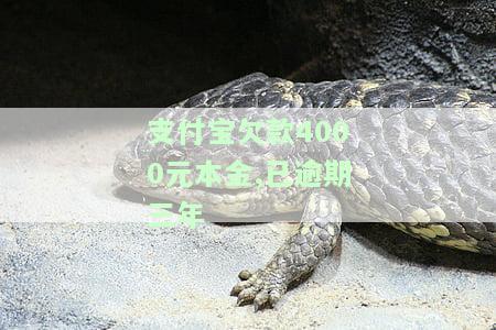 支付宝欠款4000元本金,已逾期三年
