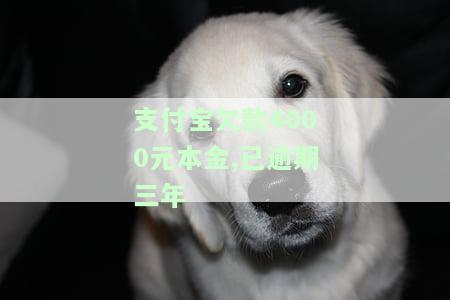 支付宝欠款4000元本金,已逾期三年