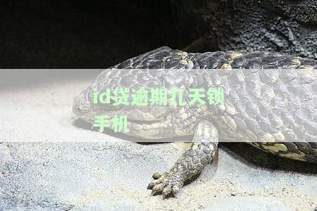 id贷逾期被锁定，警示：ID贷逾期将导致账户锁定，及时还款避免影响信用记录！