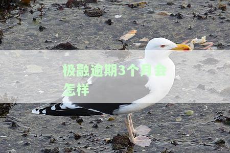 极融逾期上征信吗？影响大吗？逾期后果、是否会起诉及处理方法全解析