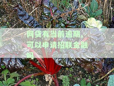 网贷有逾期是否能申请信用卡？安全性如何？
