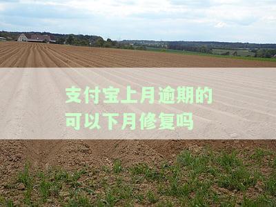 支付宝上月逾期的可以下月修复吗是真的吗，支付宝逾期是否可以下月修复？真相揭秘！