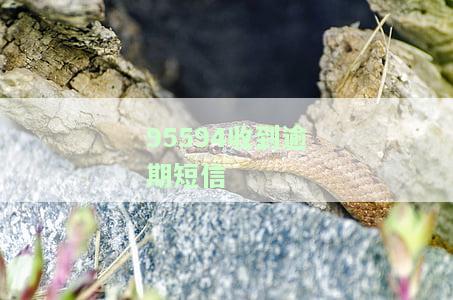95574发短信说逾期会影响征信，其他号码也提醒我贷款已逾期