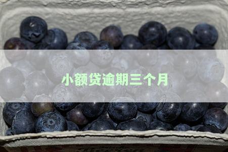 小额贷逾期三个月怎么办，如何处理小额贷逾期三个月的情况？