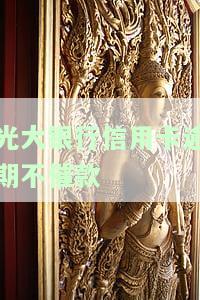 2020年光大信用卡逾期接受不了还款方式，2021年光大银行信用卡逾期怎么办？