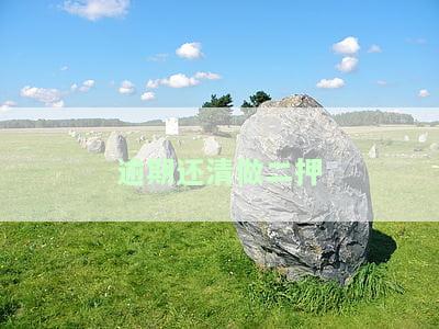 逾期还清做二押-逾期还清做二押可以吗