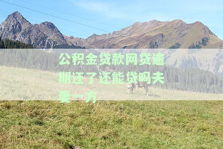 公积金贷款网贷逾期还了还能贷吗夫妻一方
