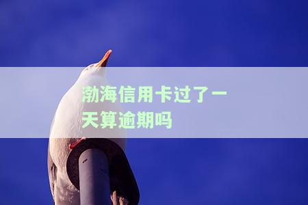 渤海银行信用卡我爱卡，渤海银行信用卡我爱卡：您的购物和消费的最佳伴侣！