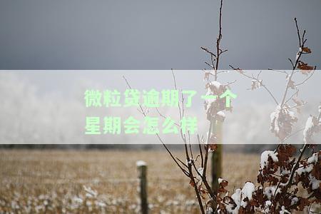 微粒贷逾期了一个星期会怎么样