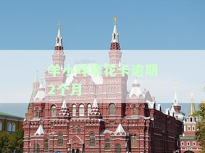 羊小咩享花卡逾期2个月-羊小咩享花卡逾期2个月2023