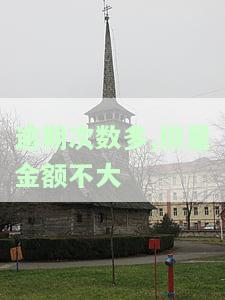 逾期金额不大但次数过多，多次逾期，金额虽小却影响信用记录