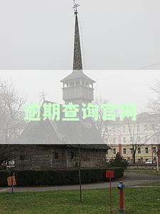 逾期查询官网