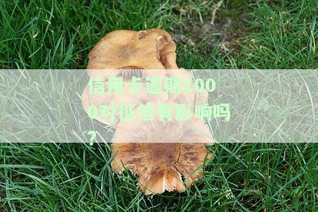 信用卡1000多逾期会上黑名单吗，逾期未还款？信用卡欠款1000多元是否会进入黑名单？