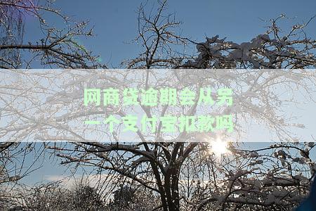 网商贷逾期会从另一个支付宝扣款吗怎么办，如何处理网商贷逾期？是否会从另一个支付宝扣款？