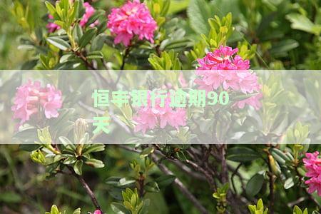 恒丰逾期，恒丰银行再次爆发逾期问题，引发社会关注