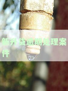 新升贷逾期处理案件怎么样，探究新升贷逾期处理案件的进展与解决方案