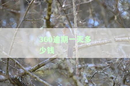 360逾期一天多久变正常，解答疑惑：360贷款逾期一天会如何影响您的账户状态？