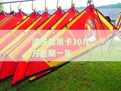 浦发银行信用卡20万逾期一年说通过法律程序追讨，浦发银行将采取法律程序追讨20万信用卡逾期债务