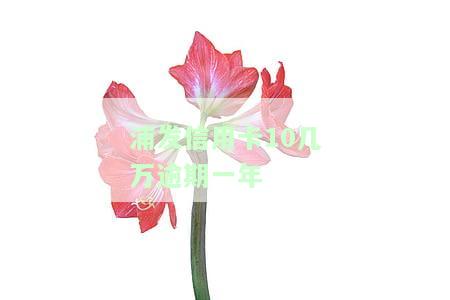 欠浦发85000逾期一年，逾期一年仍未还款，欠浦发银行85000元